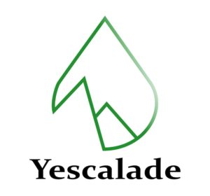 Yescalade : moniteurs diplômé d'escalade & via ferrata La Ciotat, Cassis, Marseille. Activités EVG & EVJF, team building dans le Parc National des Calanquesdans le Parc National des Calanques