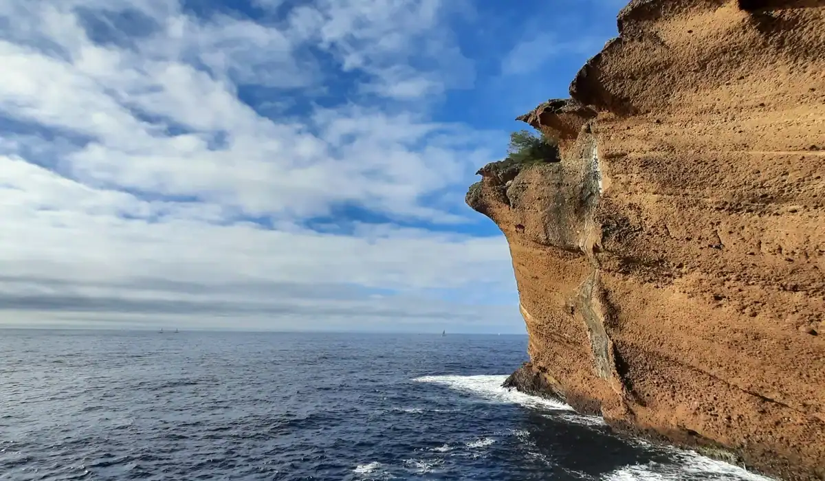 "Via cordata en bord de mer à La Ciotat avec un moniteur d’escalade diplômé dans le Parc national des Calanques